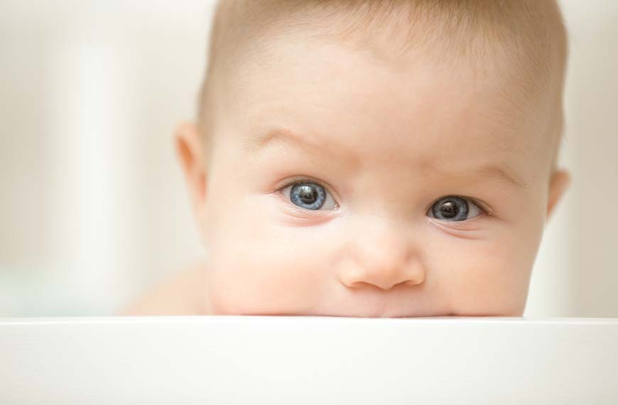 פנים של תינוק עירני וסקרן